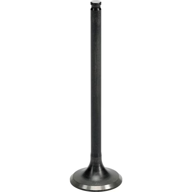 Exhaust Valve