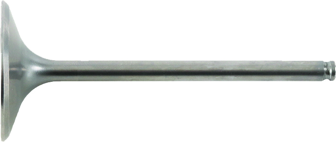 Intake Valve
