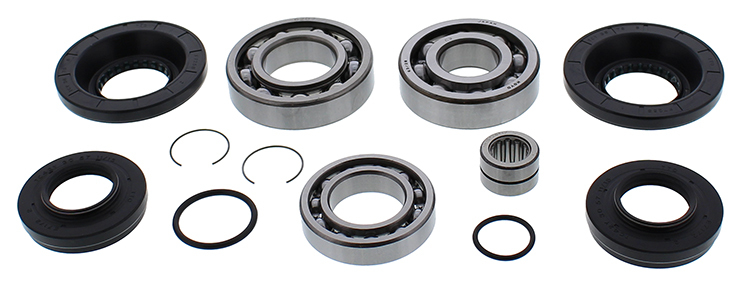 Differential Bearing & Seal Kit