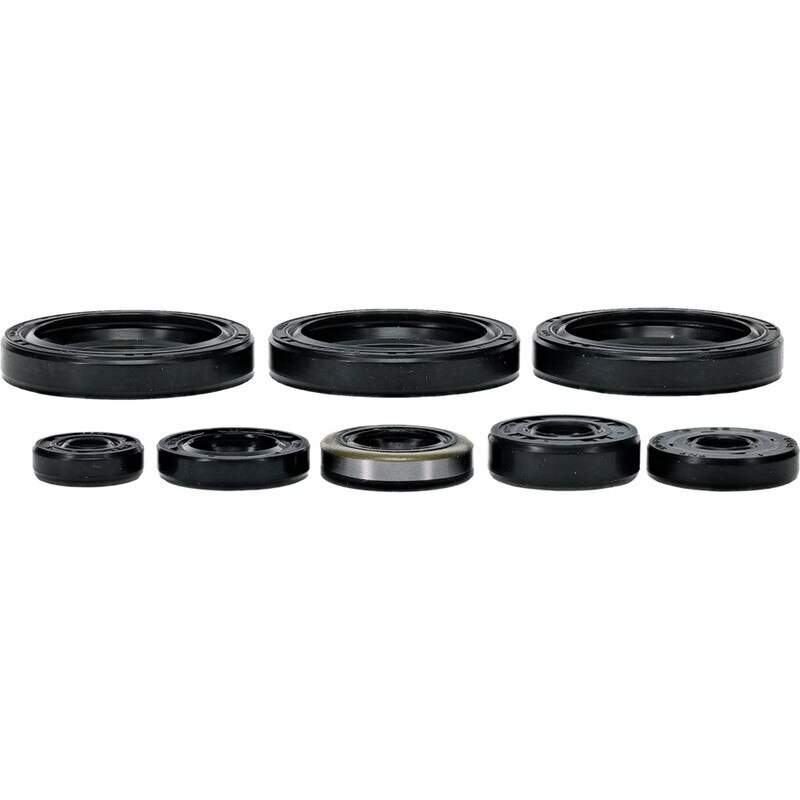 Oil Seal Kit