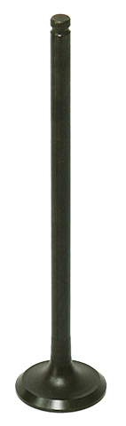 Exhaust Valve
