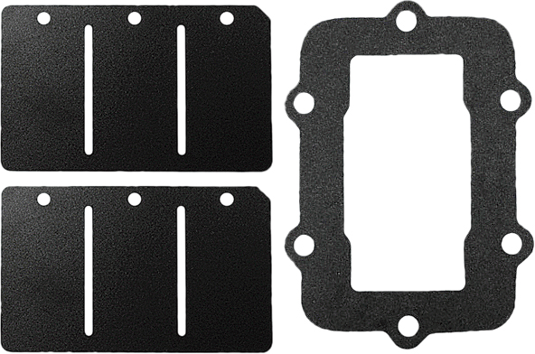 Reed Valve Rebuild Kit