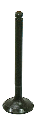 Exhaust Valve