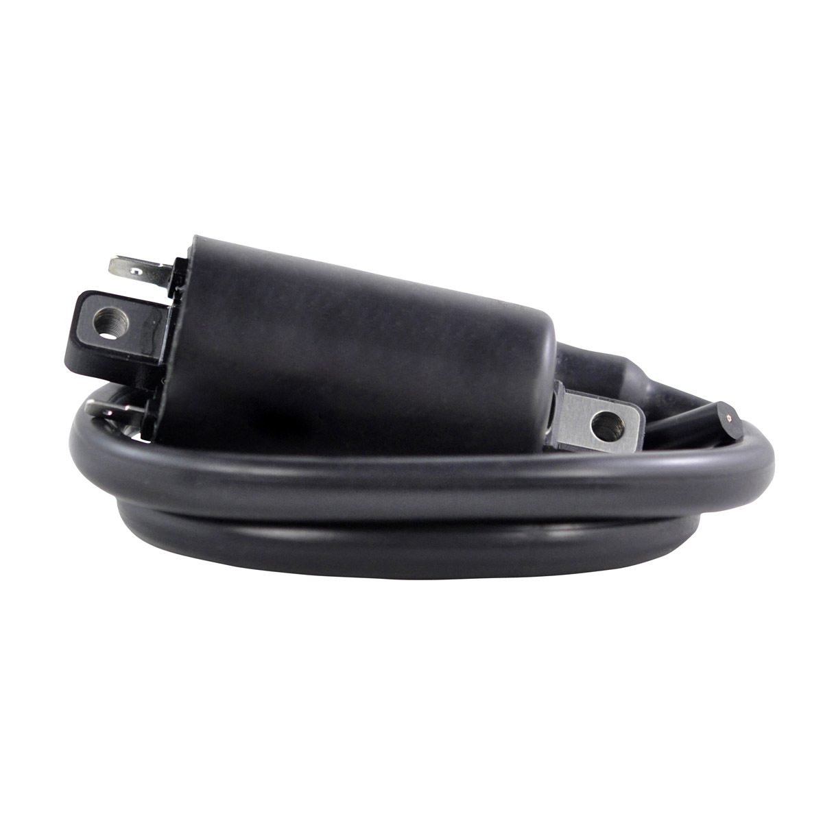 External Ignition Coils