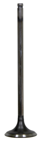 Intake Valve