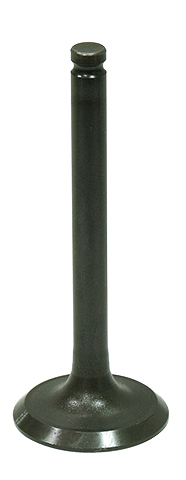 Exhaust Valve