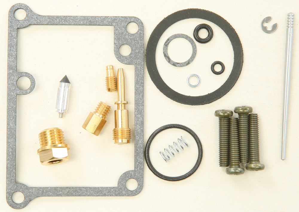 Carburetor Repair Kit
