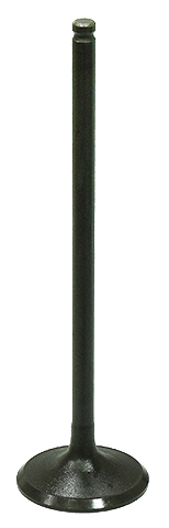 Intake Valve