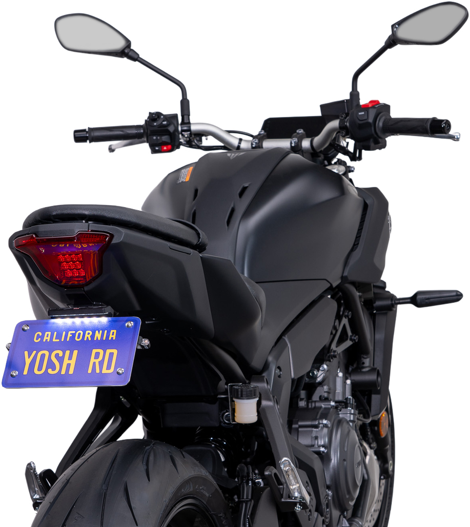 Fender Eliminator V2