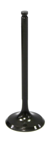 Intake Valve