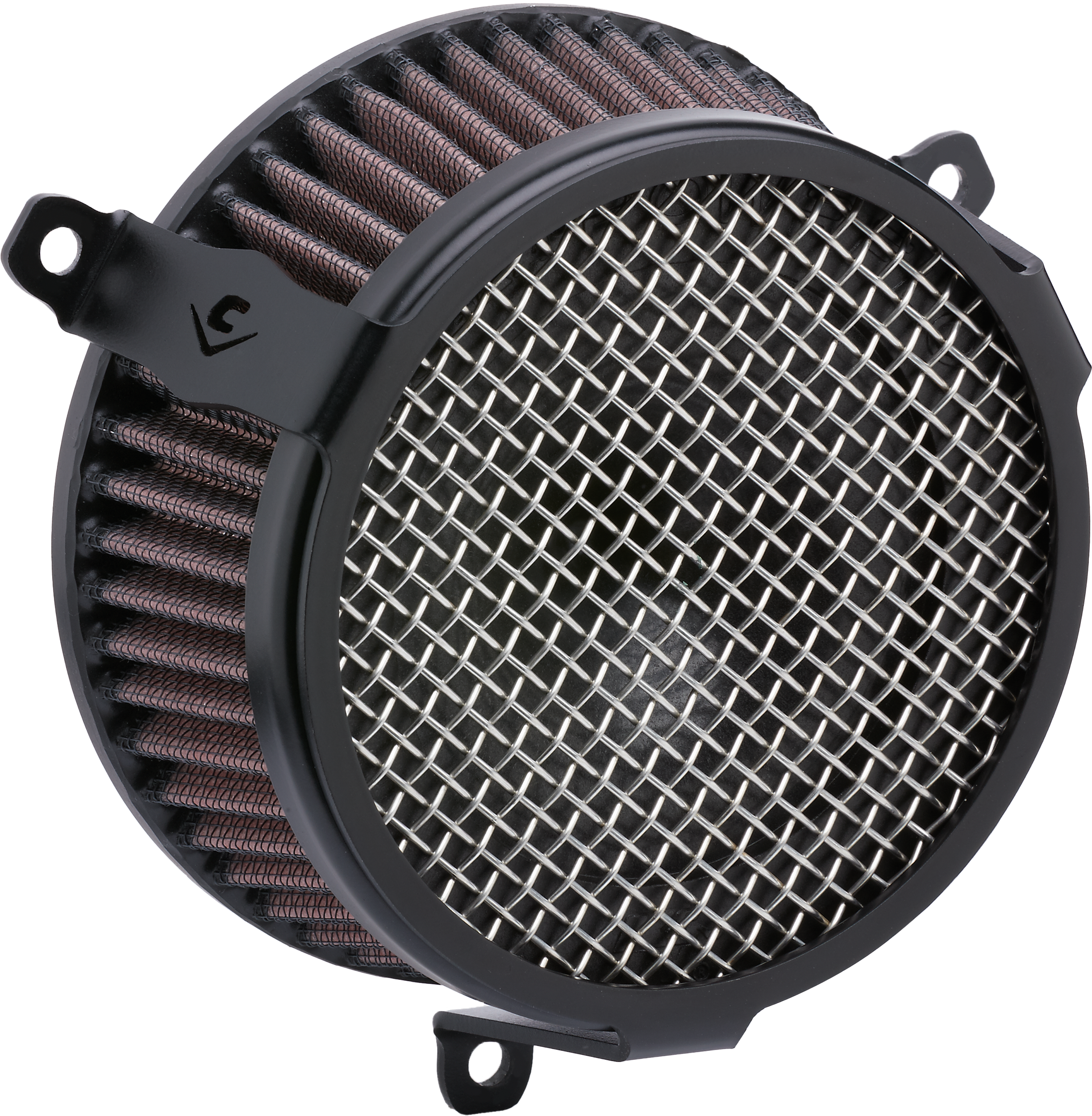 COBRA Air Intake - View 1