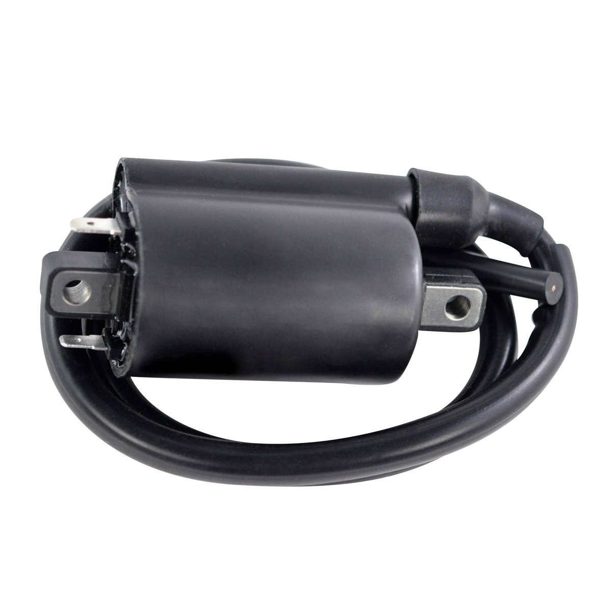 External Ignition Coils