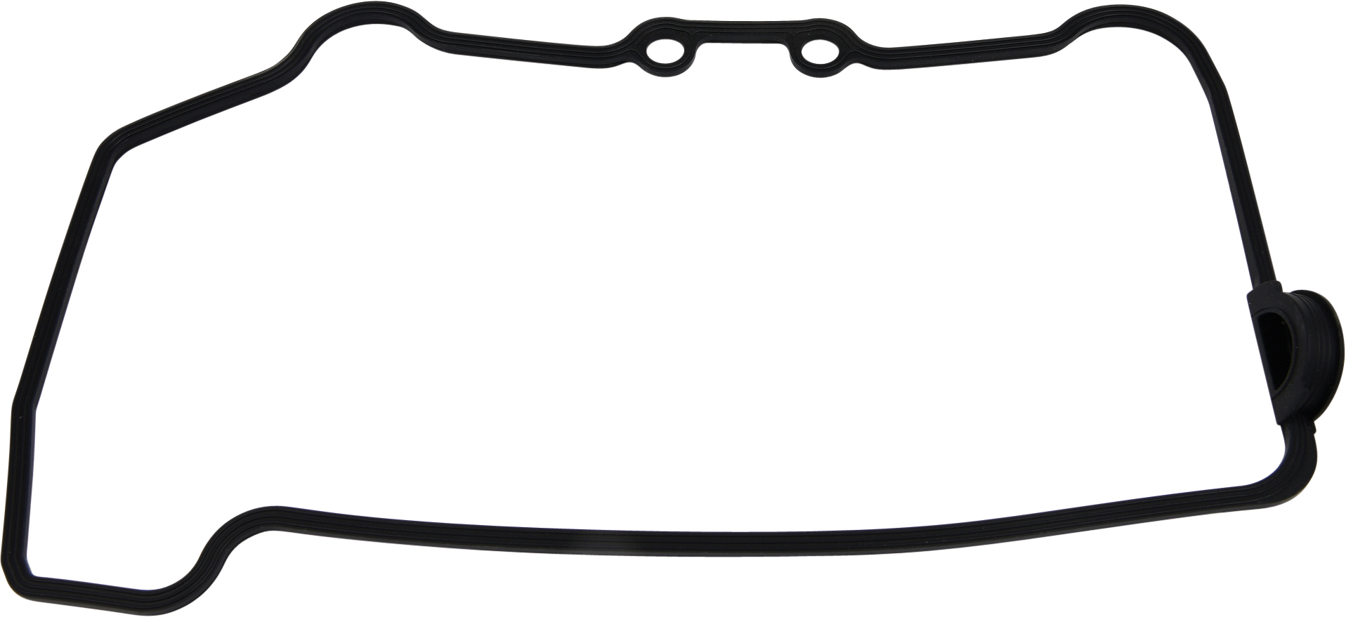 Valve Cover Gasket