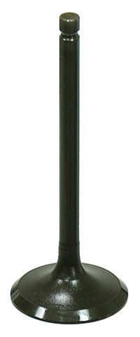 Exhaust Valve