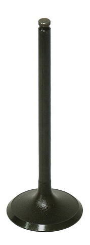 Intake Valve