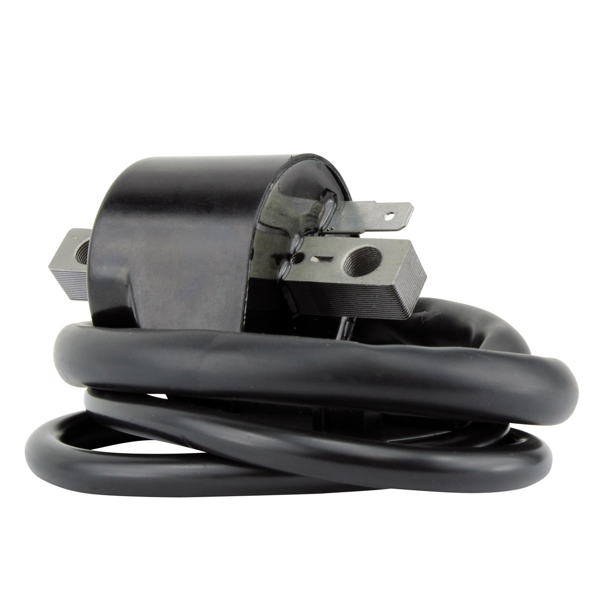 External Ignition Coils