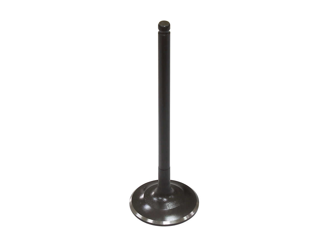 Exhaust Valve