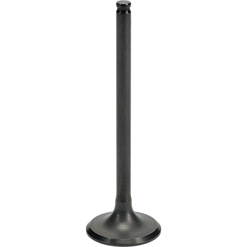 Exhaust Valve