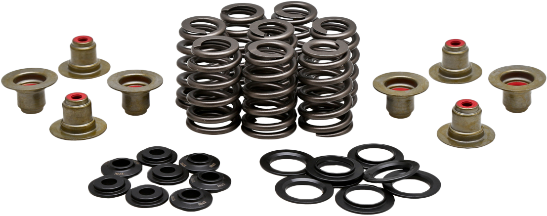 BEEHIVE VALVE SPRING KIT .550 LIFT  M8`17-24 NON VVT