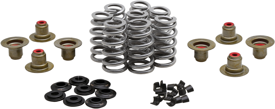 BEEHIVE VALVE SPRING KIT .640 LIFT  M8`17-24 NON VVT